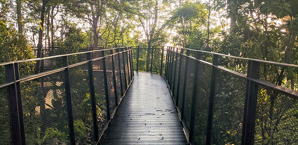 Passerelle-touristique